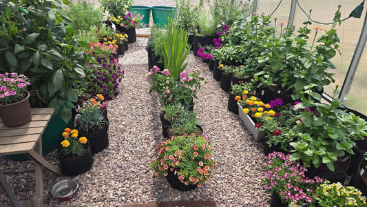 How to Use Permaculture Principles to Transform Greenhouse Gardening