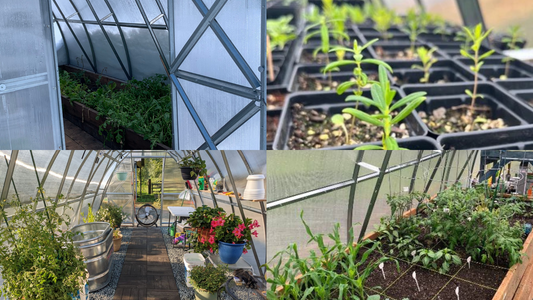 Year-Round Greenhouse Upkeep: Your Seasonal Maintenance Checklist