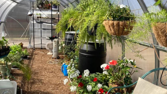 The Ultimate Guide to Incorporating Thermal Mass in Your Greenhouse