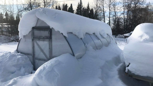 Weather Warriors: How Planta Greenhouses Excel in Extreme Conditions