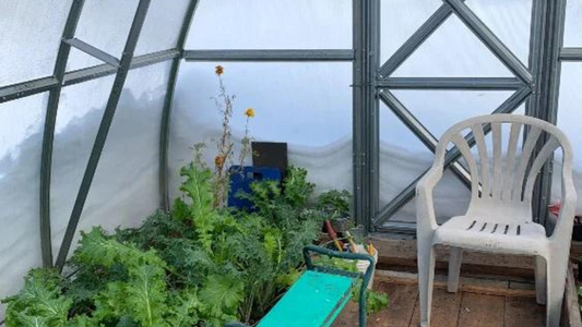 Early Bird Planting: Kickstart Your Greenhouse Garden Before Spring Thaw