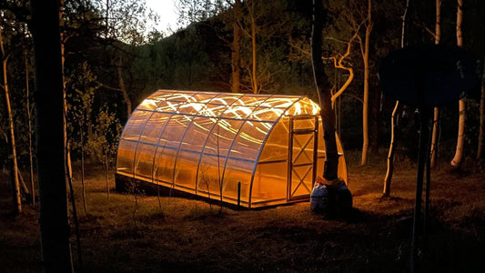 The Essential Guide to Greenhouse Grow Lights