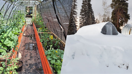 How to Manage Extreme Temperature Swings in Your Greenhouse