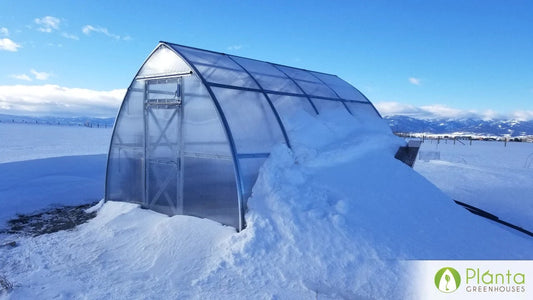 How to Insulate Your Greenhouse for a Thriving Winter Garden