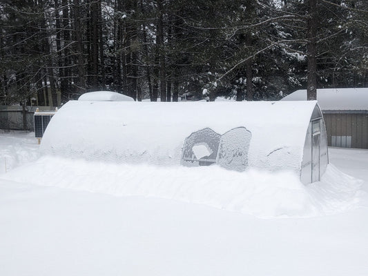 How to Heat Your Greenhouse Without Electricity: A Passive Heating Guide
