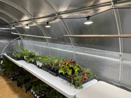 Winter-Proof Your Greenhouse: The Essential Guide to Insulating With Bubble Wrap