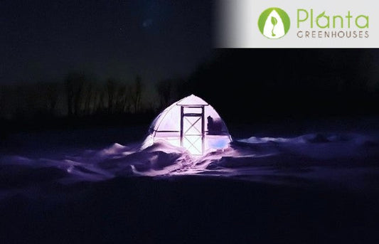 4 Things To Do During The Winter So That Your Plants Thrive Year Round