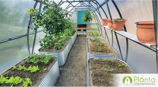 Elevate Your Gardening: 5 Advantages of Raised Beds in Greenhouses