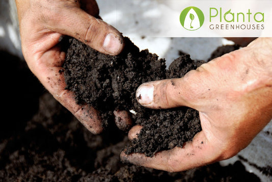 How to Prevent Your Soil From Freezing During the Winter?