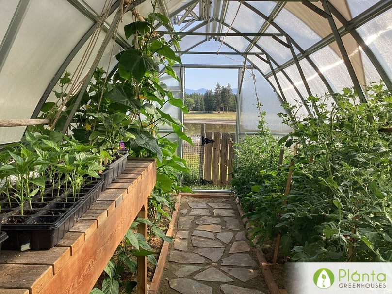 7 kreative Regalideen zur Umgestaltung Ihres Gewächshauses – Planta Greenhouses OÜ
