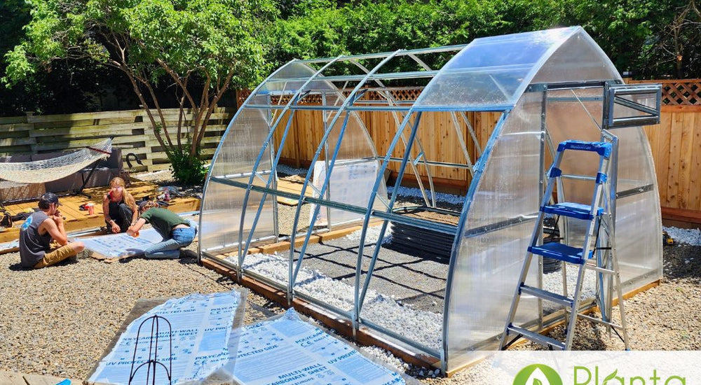 Fresh produce, year-round!