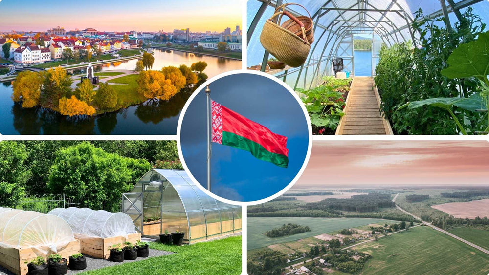 Belarus