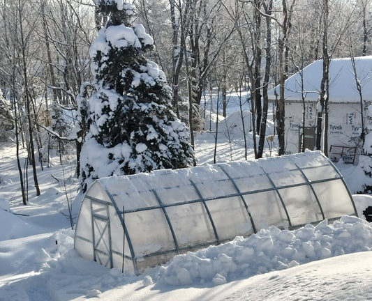 7 Methods to Keep Your Planta Greenhouse Heated in the Winter