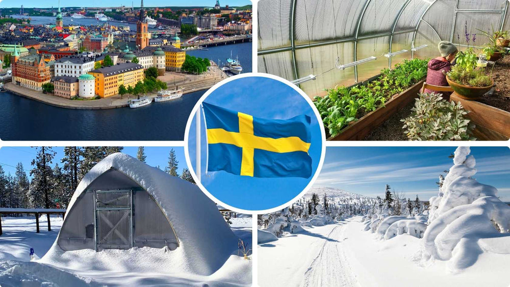 Sweden