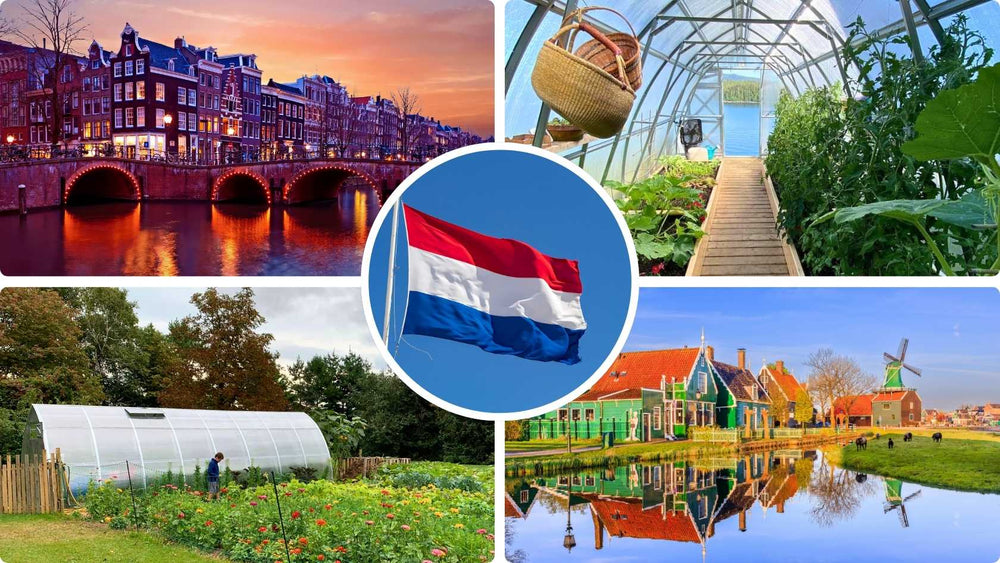 Netherlands
