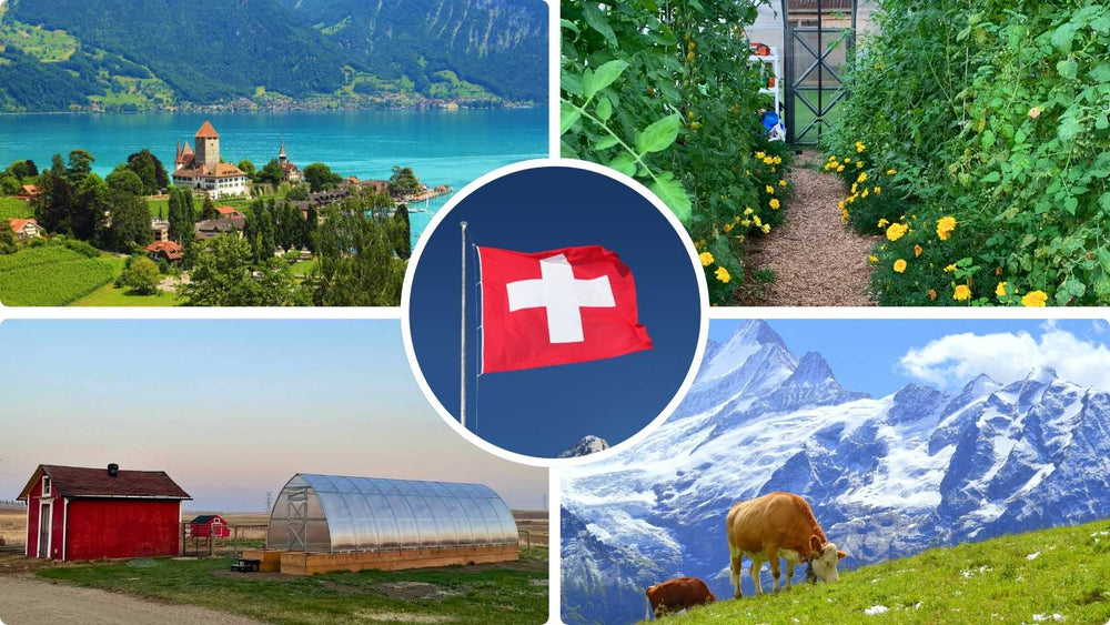 Switzerland