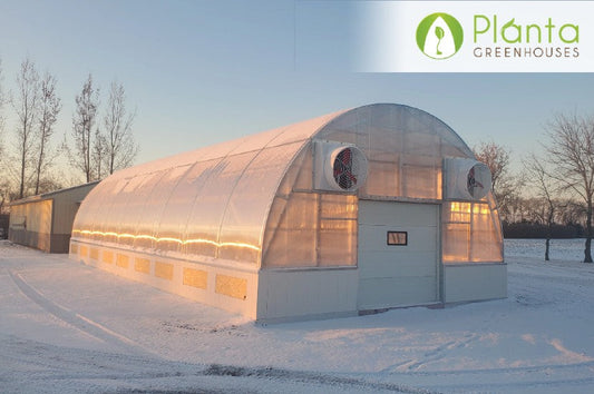 17 Ways to Supercharge Your Greenhouse