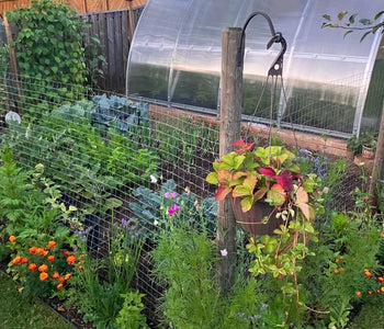 A lovely ambiance in the garden zone