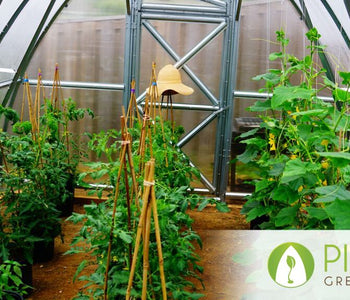 A lovely ambiance in the garden zone