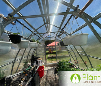 Controlling the Environment for Better Produce