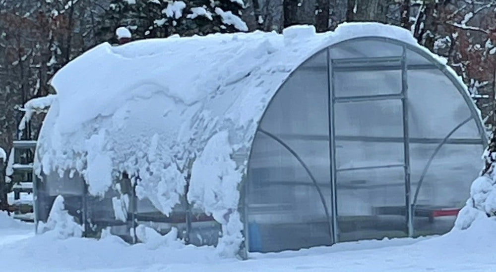 My greenhouse has added a new element of enjoyment to my life