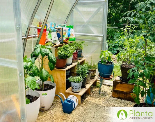 Diverse Growing: 6 Innovative Greenhouse Gardening Methods