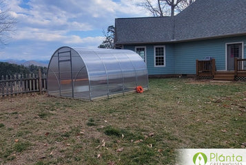 We can start seedlings pretty early!