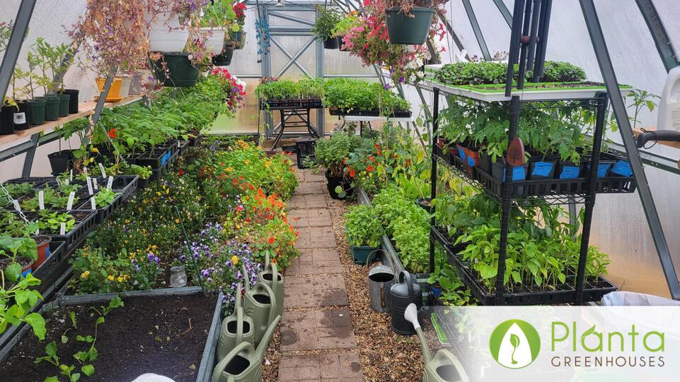 Now We Have Two Sungrow 26 Greenhouses