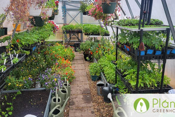 Now We Have Two Sungrow 26 Greenhouses