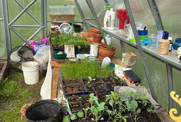 Year-Round Harvests and a Garden Retreat with the Sungrow 20