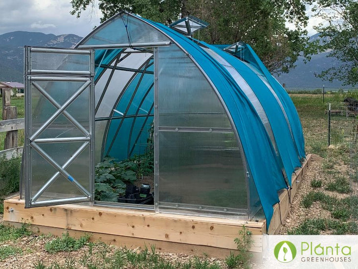 I love our greenhouse and have already harvested lettuce, basil and chard!