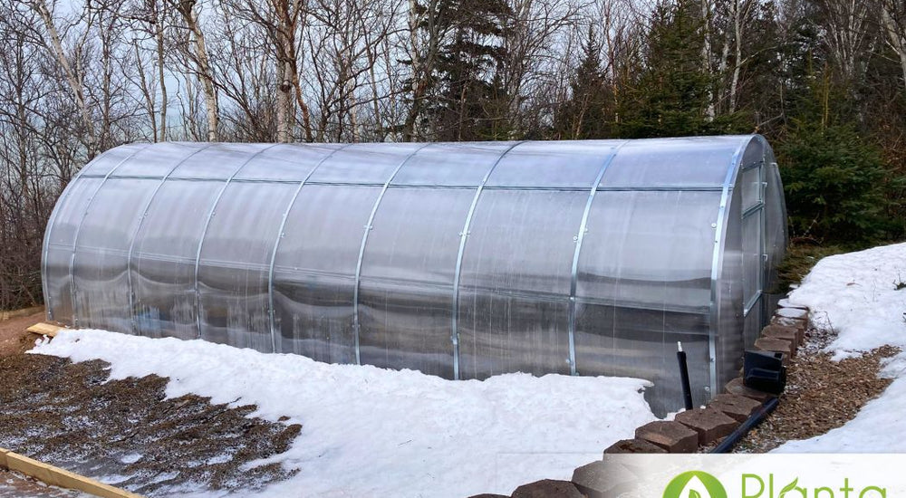 3 Sigma Greenhouses Later We Keep Choosing Planta