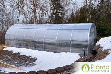 3 Sigma Greenhouses Later We Keep Choosing Planta