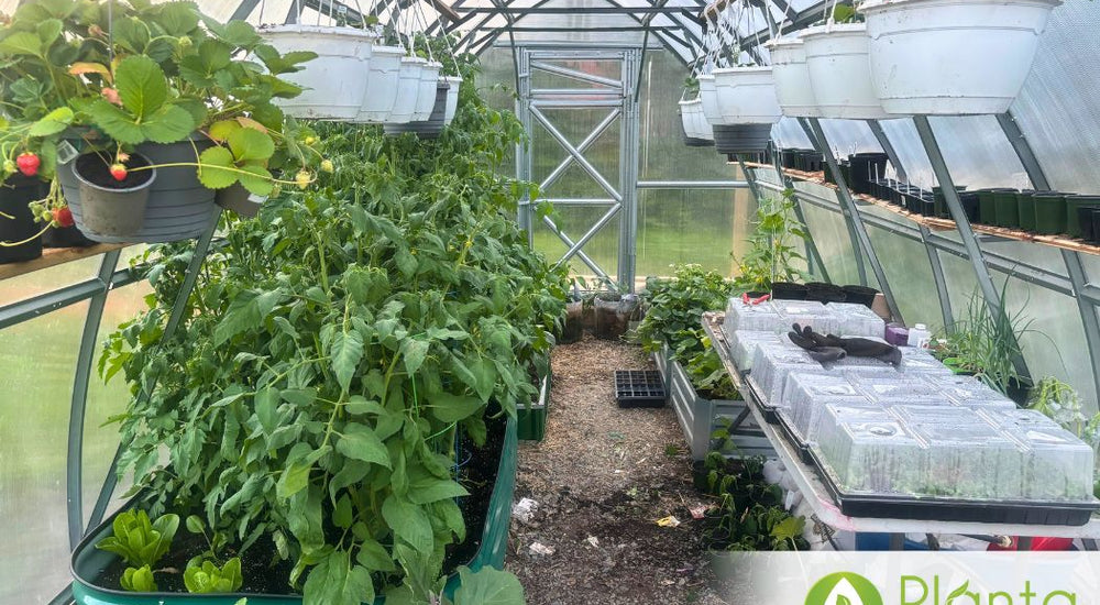 Controlling the Environment for Better Produce