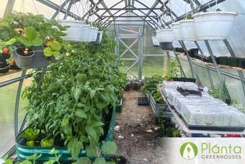 Controlling the Environment for Better Produce