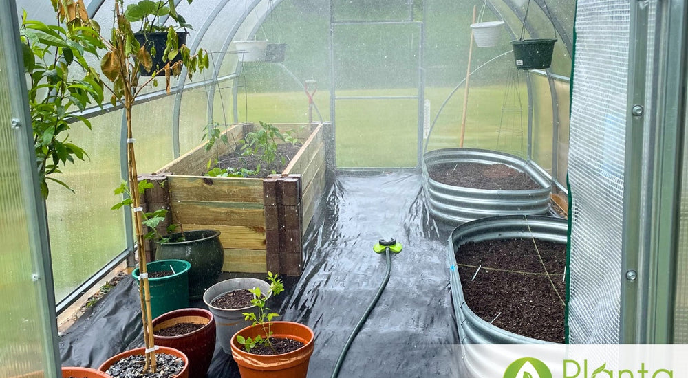 Early Starts and Frost Protection