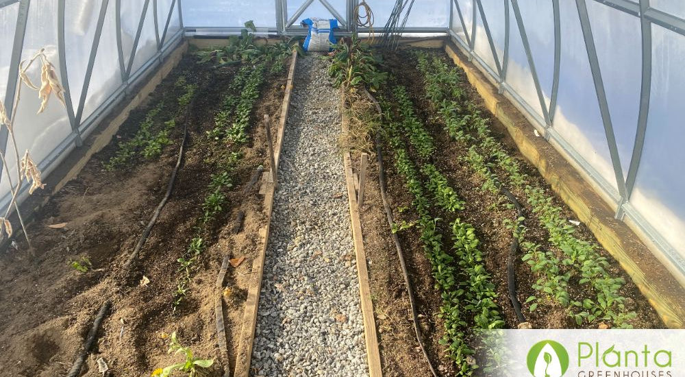 Our greenhouse extended our growing season year round