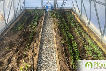 Our greenhouse extended our growing season year round