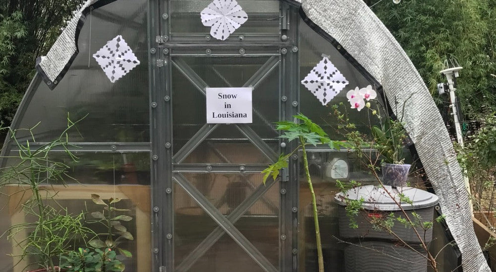 This greenhouse has been very therapeutic during the pandemic