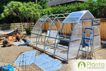 Fresh produce, year-round!