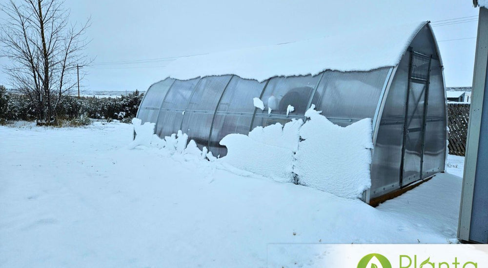Built to Withstand 50 mph Winds, Hail & 5 Feet of Snow