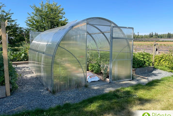 Abundance of tomatoes and peppers