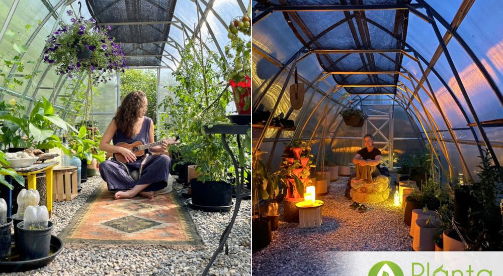 Loving our SoTru Farm Greenhouse