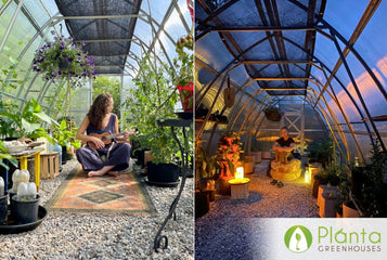 Loving our SoTru Farm Greenhouse