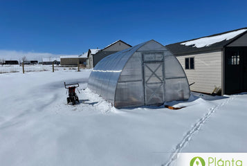 We are thrilled with the way our Planta greenhouse has withstood everything