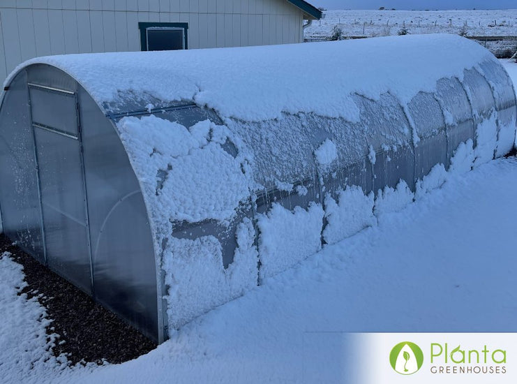 The stability of the greenhouse is really good even in the wind