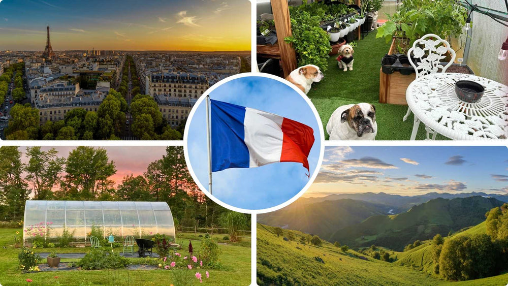 Francia