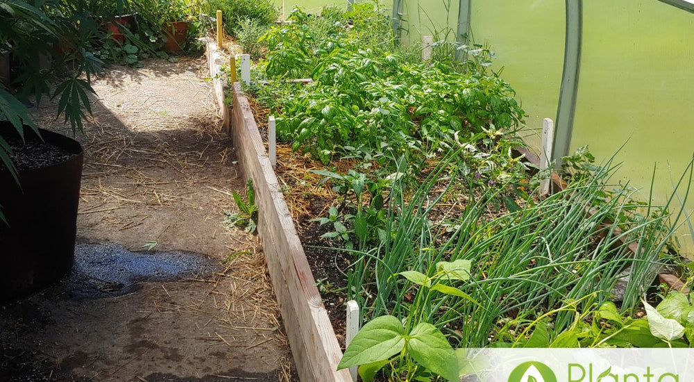 A Perfect Space for Experimenting with Crops