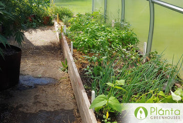 A Perfect Space for Experimenting with Crops
