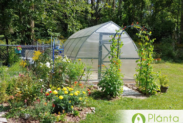 I love to go in the greenhouse when it is cold outside